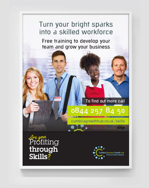 Profiting through Skills advert design